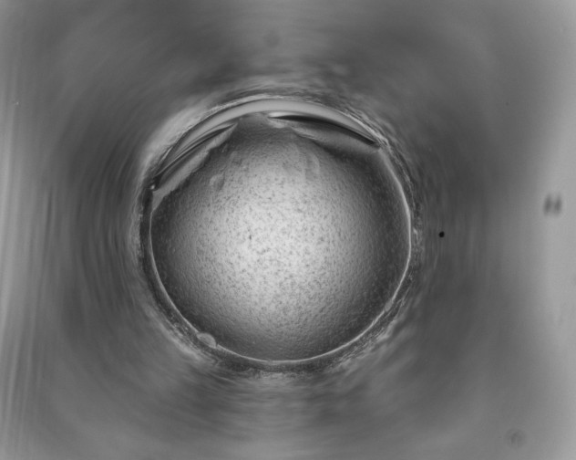 X0000090970149200708091443