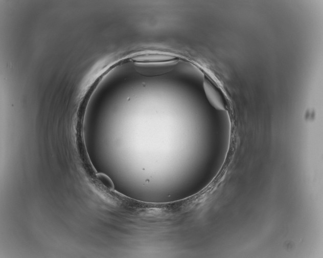 X0000090970151200708091443