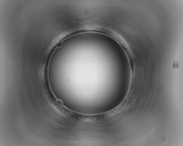 X0000090970155200708091443