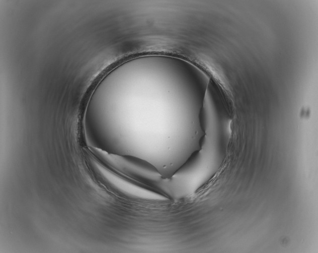 X0000090970156200708091443