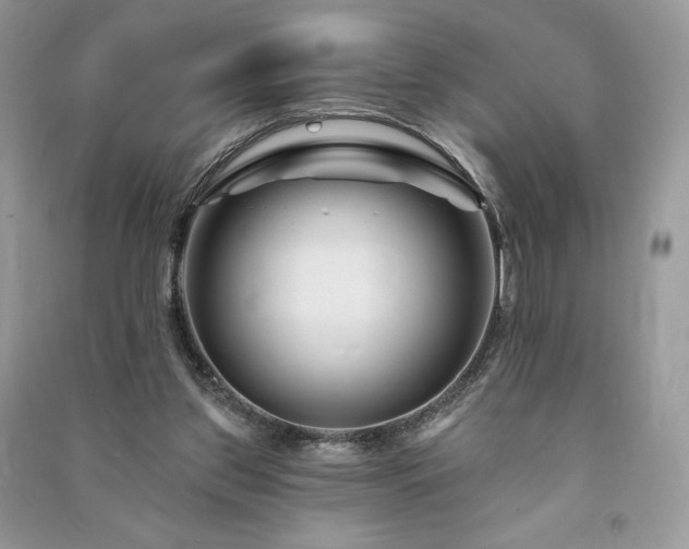 X0000090970157200708091443