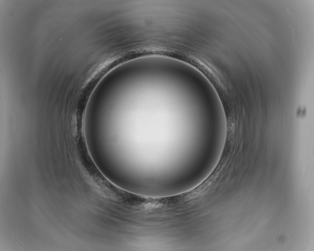 X0000090970158200708091443