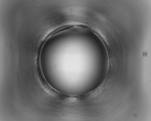 X0000090970159200708091444