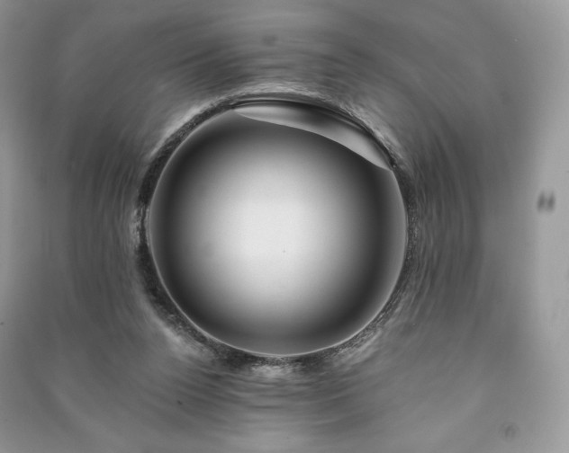 X0000090970160200708091444