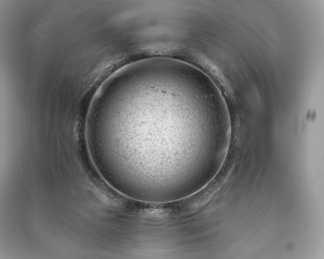 X0000090970161200708091444