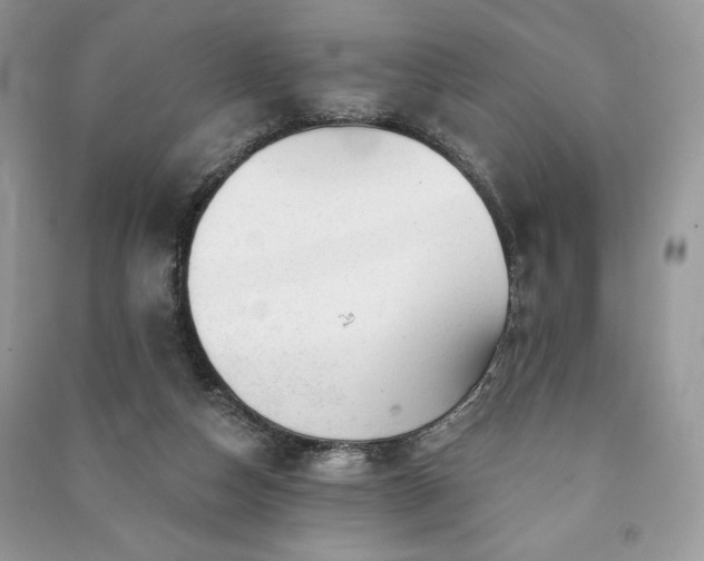 X0000090970162200708091444