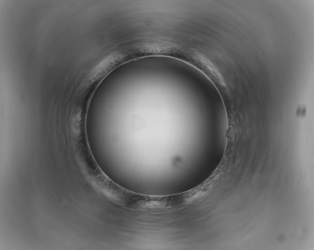 X0000090970163200708091444