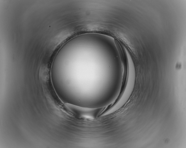 X0000090970164200708091444