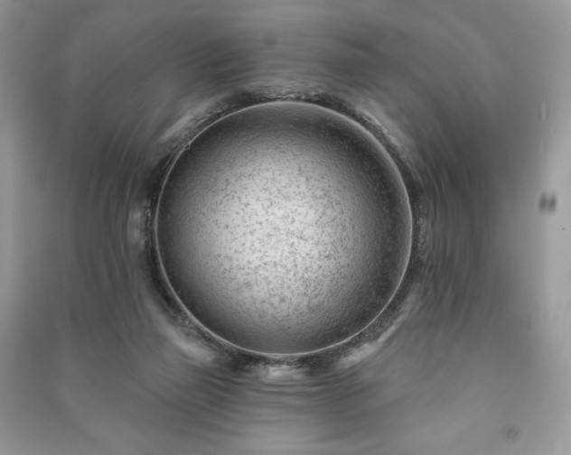 X0000090970165200708091444