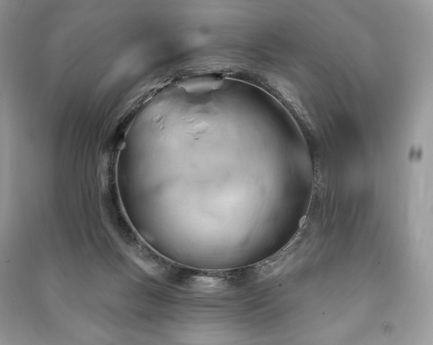 X0000090970167200708091444