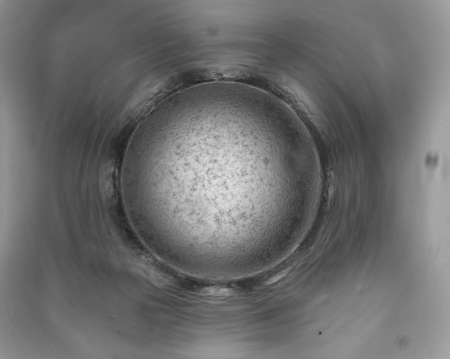 X0000090970169200708091444