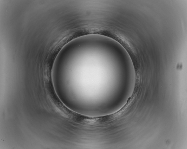 X0000090970170200708091444