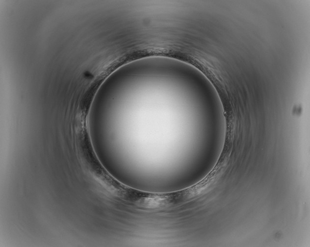 X0000090970172200708091444