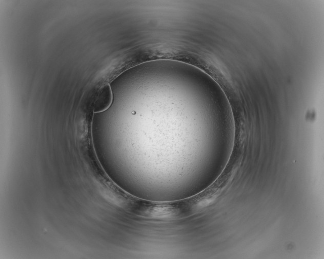 X0000090970173200708091444