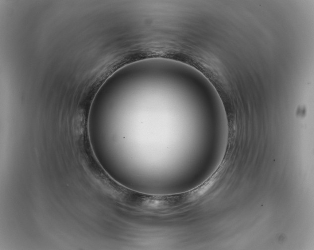 X0000090970174200708091444