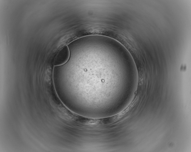 X0000090970175200708091444