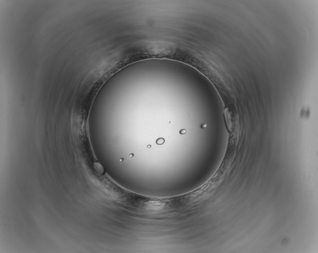 X0000090970176200708091444