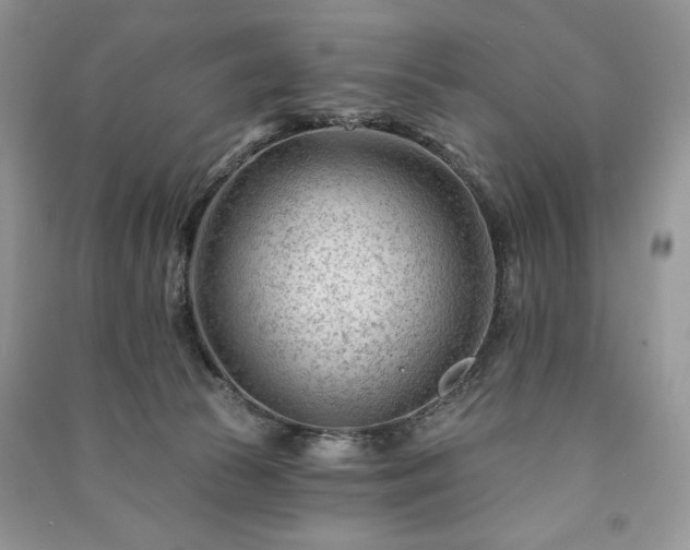 X0000090970177200708091444