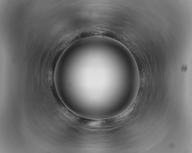 X0000090970178200708091444