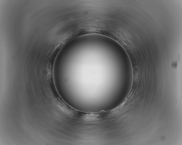 X0000090970179200708091444