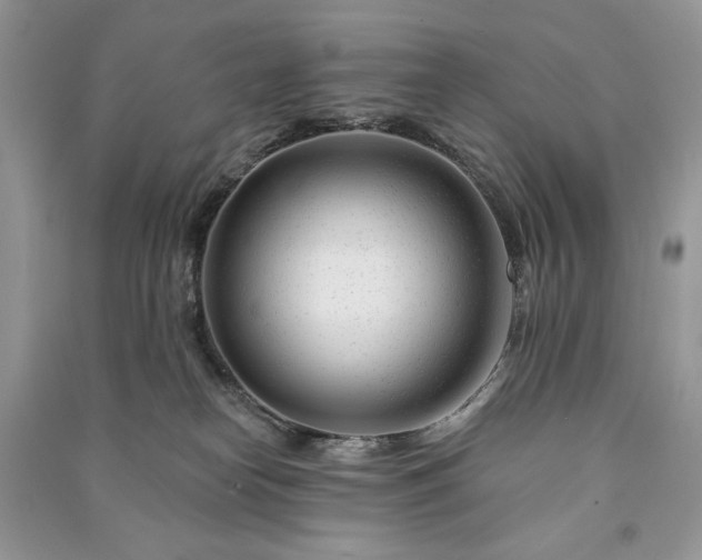 X0000090970182200708091444