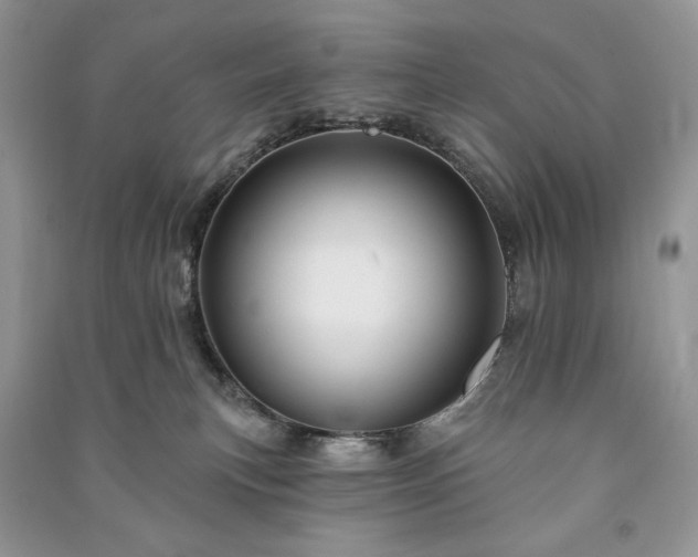 X0000090970183200708091444