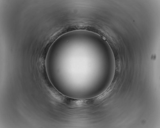 X0000090970184200708091444