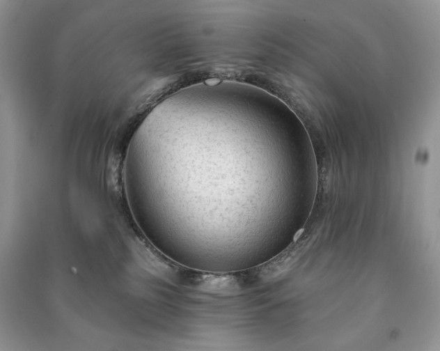 X0000090970185200708091444