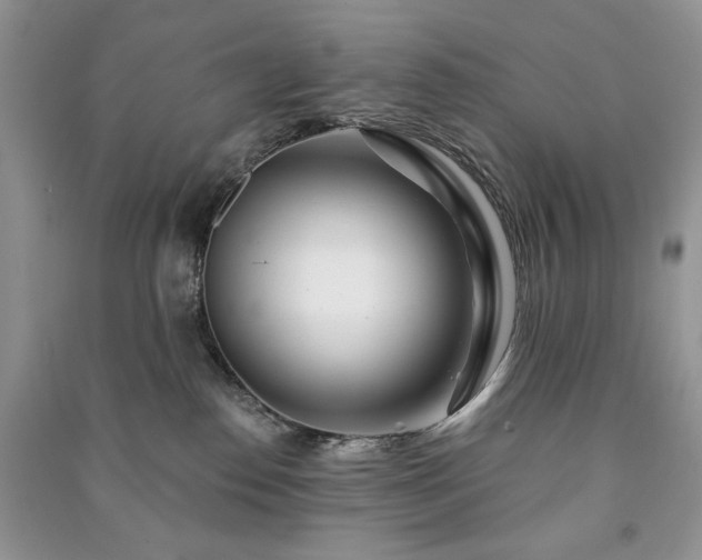 X0000090970186200708091444