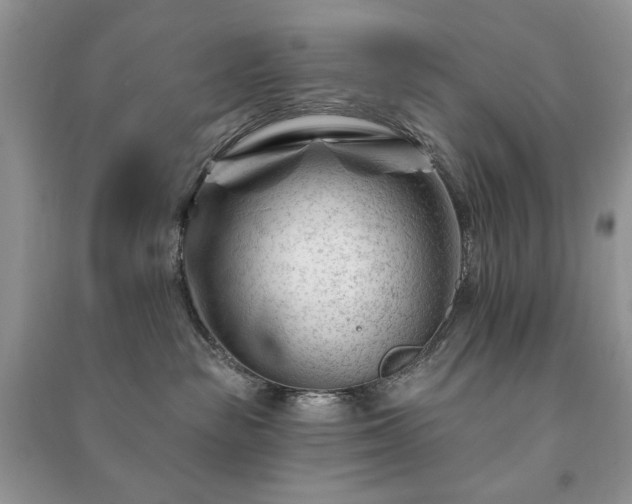 X0000090970189200708091444