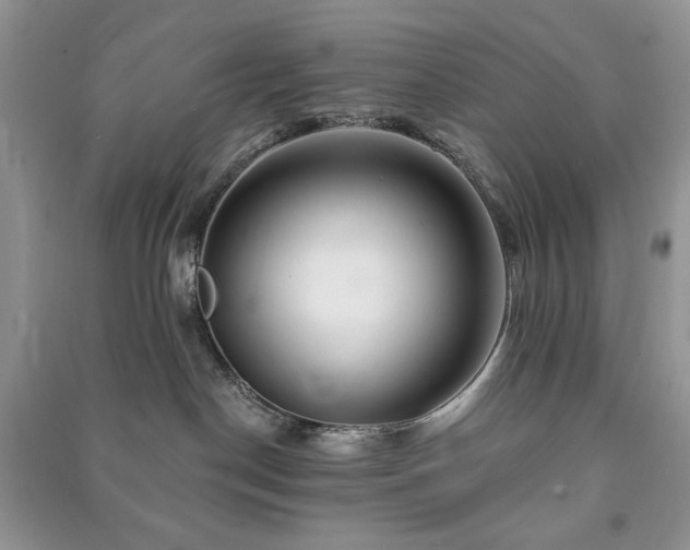 X0000090970190200708091444