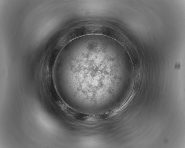 X0000090970191200708091444