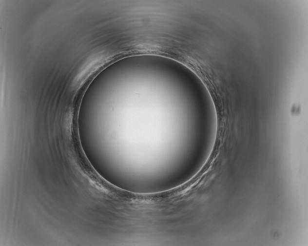 X0000090970194200708091443