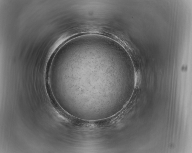 X0000090970195200708091443