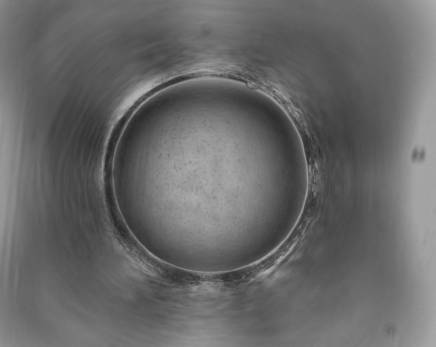 X0000090970196200708091443