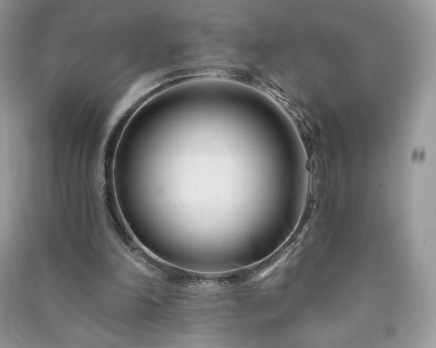 X0000090970198200708091443