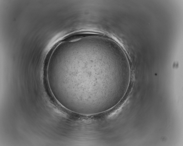 X0000090970199200708091443