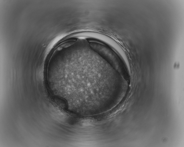 X0000090970200200708091443