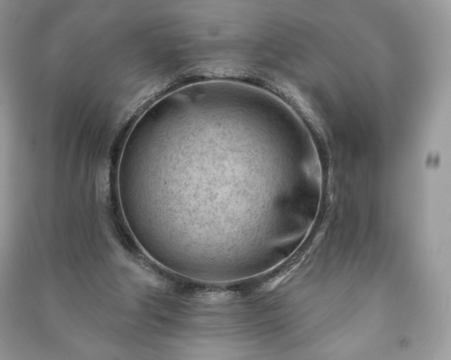 X0000090970202200708091443