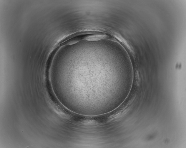 X0000090970203200708091443