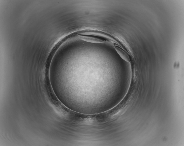 X0000090970204200708091443