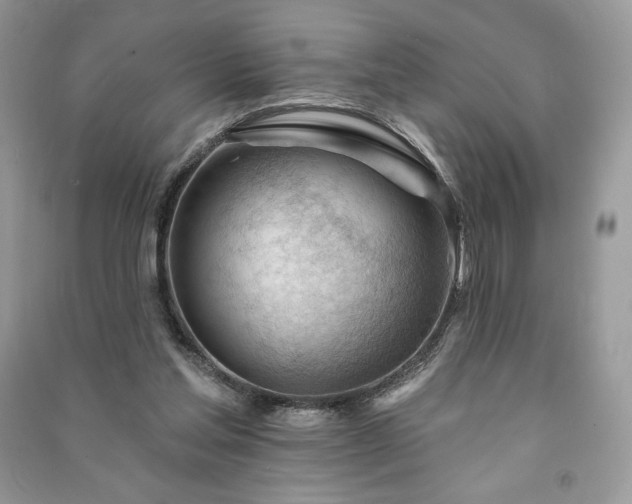 X0000090970205200708091443