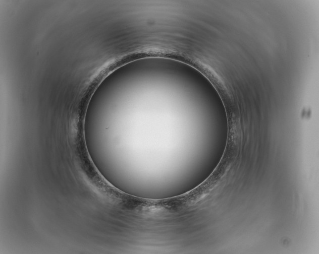 X0000090970208200708091443