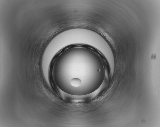 X0000090970209200708091443