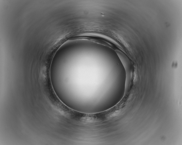 X0000090970211200708091443