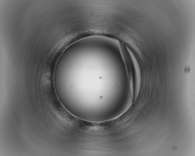 X0000090970212200708091443