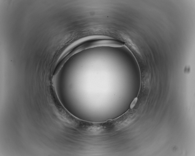 X0000090970213200708091443