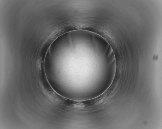 X0000090970214200708091443