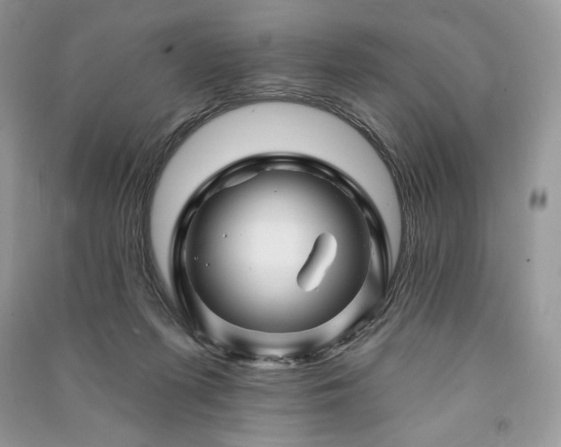 X0000090970215200708091443