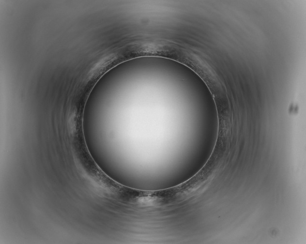 X0000090970216200708091443